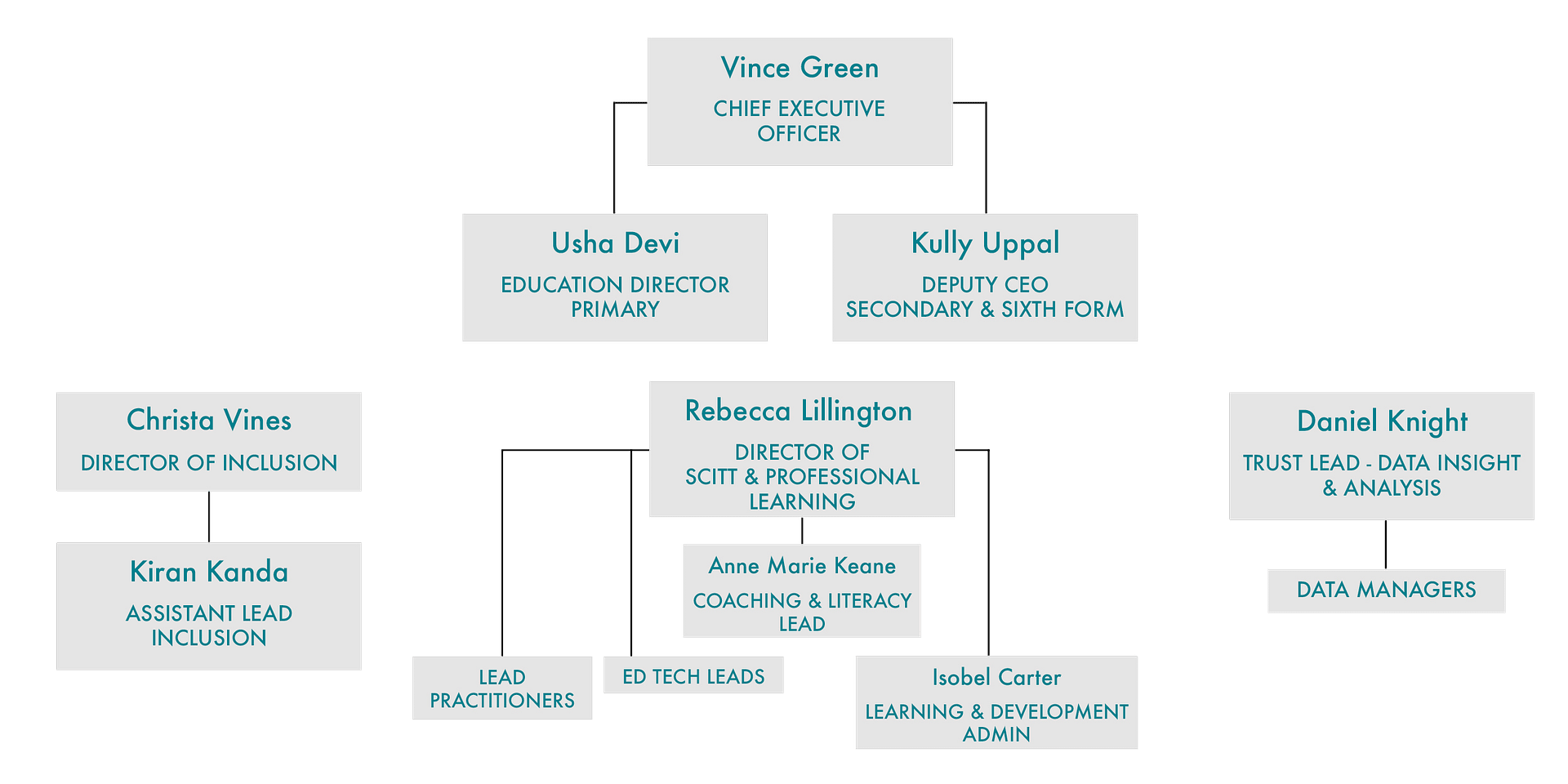 A diagram of the organization of an organization